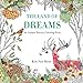 The Land of Dreams: An Animal Fantasy Coloring Book by