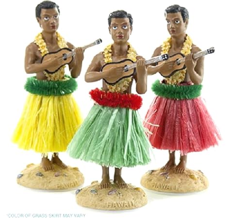 hula guy dashboard