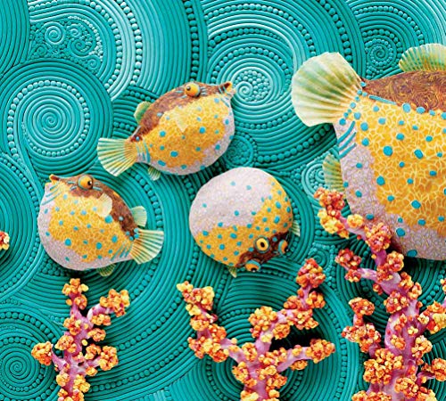Over in the Ocean: In a Coral Reef
