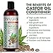 Castor Oil Conditioner – with Jamaican Black Castor Oil Premium Hair Regrowth Conditioner, For All Hair Types, Moisturizes Hair, Keeps Hair Silky Soft and Smooth, 16 oz
