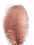 Lampu 10pcs Ostrich Feathers 14-16inch(35-40cm) for