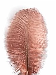 Lampu 10pcs Ostrich Feathers 14-16inch(35-40cm) for
