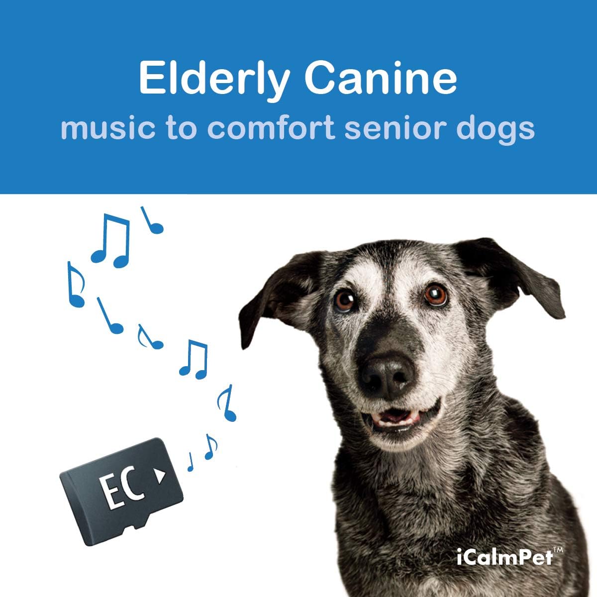 iCalmDog Elderly Canine | Music by Through a Dog’s Ear | Specially-Designed Sound Program to Comfort Your Senior Dog | Micro SD Sound Card