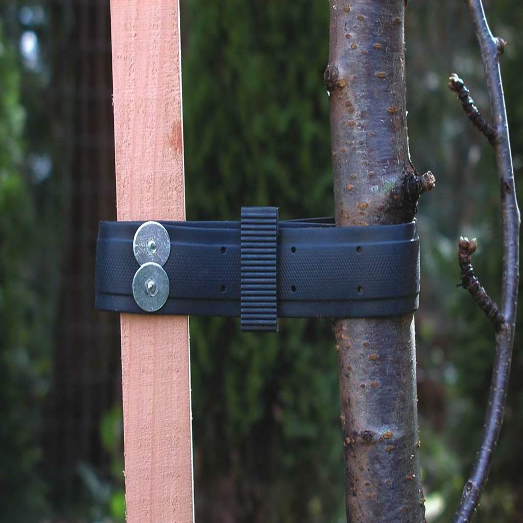 Garden & Outdoors FLAMEER Heavy Duty Soft Tree Ties Straps Rubber