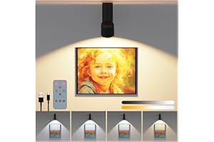 KOOPALA LED Ceiling Picture Lights with 6000mAH Rechargeable Battery Powered, Cordless Painting Wall Lamps Sconces with 4 Brightness&Color Temp,CRI≥95, Indoor Spotlight for Art Display Photo Portraits Gallery