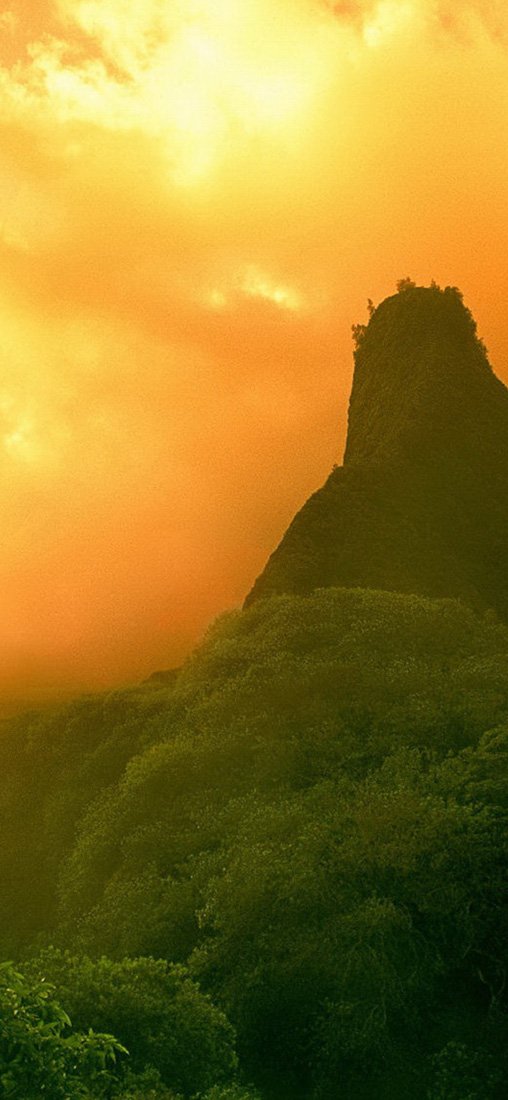 PeelitStickit, Beautiful Nature Wall Murals, ID-0970, vinyl