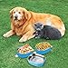 Spill Proof Dog Cat Travel Bowl Portable 304 Stainless Steel Multiple Layers Pet Water Food Storage Container with Invisible Handle for Pet Outdoor Traveling Raised Feeding (3 Layer)