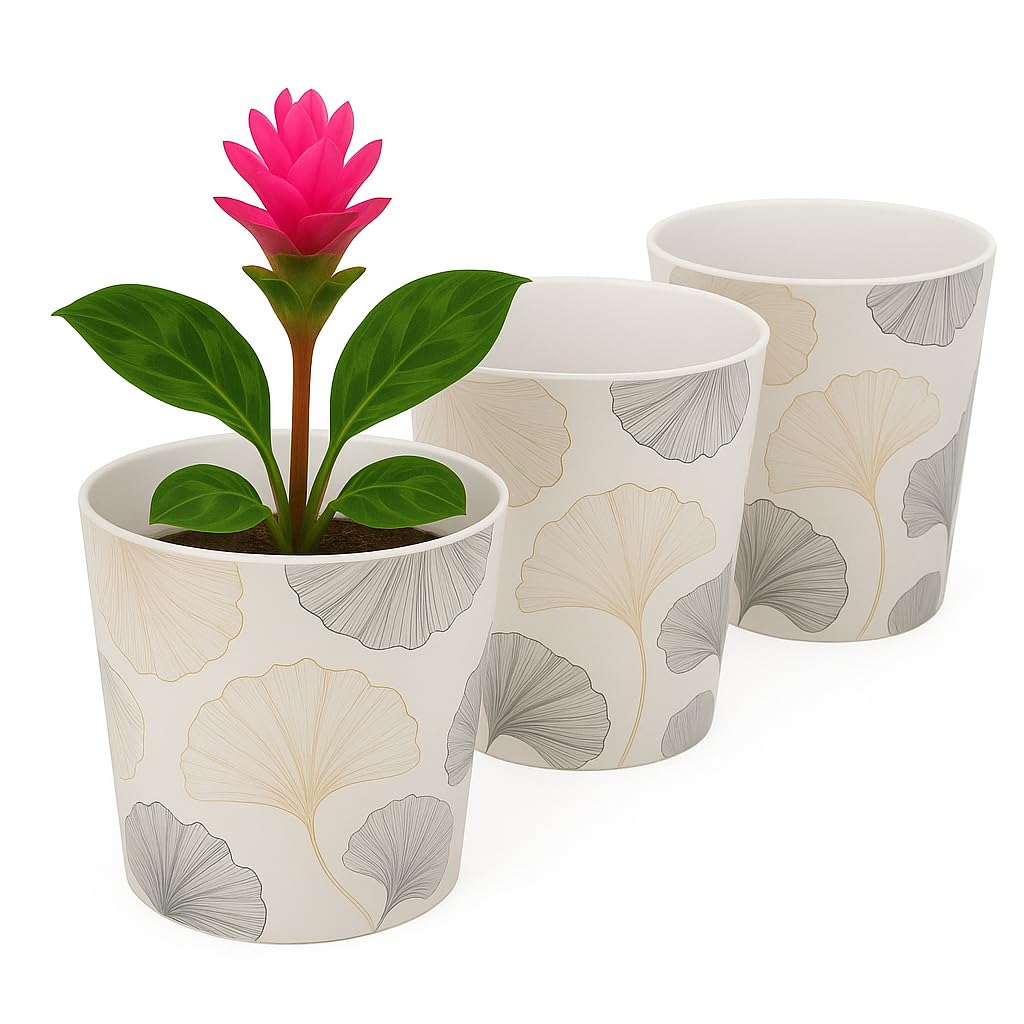 Home Garden Ornaments Indoor Plant Pot – Decorative Flower Pots with Inner Cone, Floral & Tropical Design Orchid Planters for Home Décor (13 cm / 5.1 inch – Ginko Biloba)