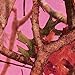 Havercamp Pink Camo Beverage Napkins | 16 Count | Next Vista Pattern | Great for Bridal Themed Events, Bachelorette Party, Mother's Day, Baby Shower