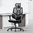 Hbada E3L Ergonomic Office Chair Elastic Adaptative Adjustment Back Lumbar Support, Computer Chair High-Density Breathable Mesh with 115° Rocking, Black