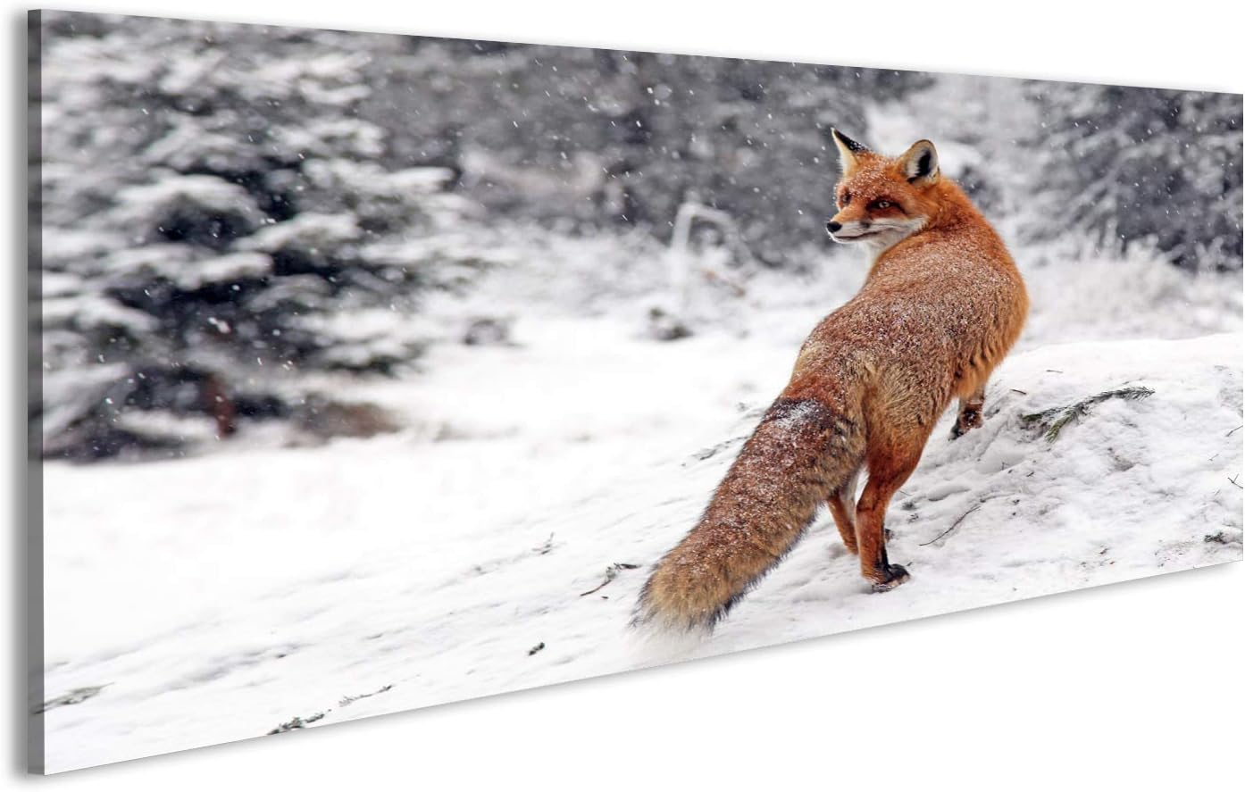 Images Islandburner Tableau Tableaux Sur Toile Le Renard Roux Dans La Neige Image Impression Poster Impressions Sur Toile Tableaux Posters Et Arts Decoratifs Napravi Rs