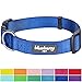 Blueberry Pet Essentials Large Dog Collar in Royal Blue | Adjustable & Eco-Friendly Durable Nylon Strap | Classic Collar for Large Dogs, Boy & Girl Pets