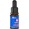 CANPREV - B9 Folate 200mcg with Vitamin B12 20mcg, 15ml Drops 450-Servings - Natural Blueberry Flavour - Supports Energy and 