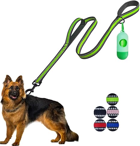 5 ft dog leash