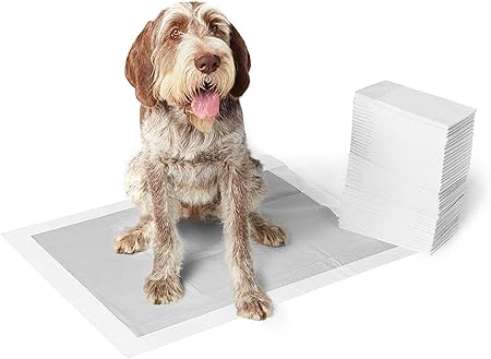 AmazonBasics - Empapadores de adiestramiento para perros, carbón, extragrande, 30 unidades: Amazon.es: Productos para mascotas