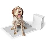 Amazon Basics Odor-Control Carbon Pet Dog and Puppy Training Pads
