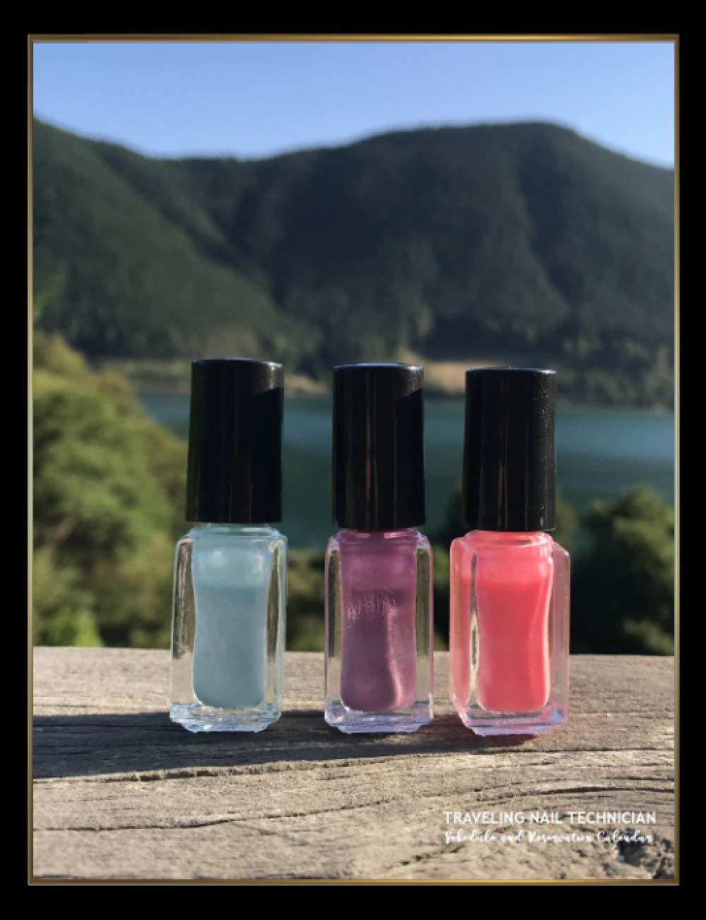 Traveling Nail Technician: Schedule and Reservation Calendar: 52 Weeks of Undated Appointment Planner with 15-Minute Time Increments: Address Pages to ... Information and Record Availed Services