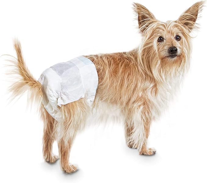 So Phresh Comfort Dry Disposable Dog Diapers, Count of 12