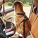 Fypo Dog Seat Belt, Pet Car Harness Lether Safety Vehicle Leash with Metal Clips with Length Length 15
