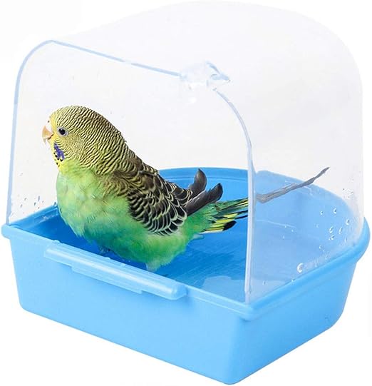 budgie supplies