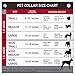 Buckle-Down DC-WDY034-L DYAG Jack Expression4 Full Color Dog Collar, Large/15-26