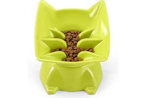 DNOYEUS Small Elevated Slow Feeder Cat Bowl, Cute Tilted Elevated Bowls and Dishes for Cats & Small Dogs, Whisker Friendly, Anti Vomiting Raised Pet Bowl for Dry and Wet Food, Green