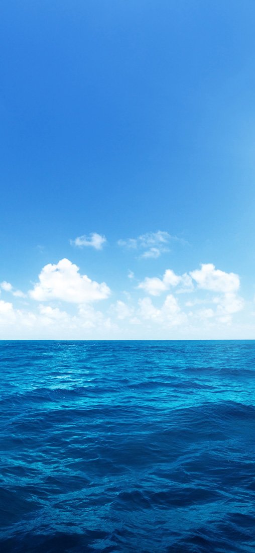 PeelitStickit, Paradise Vacations Wall Murals, ID-016, vinyl