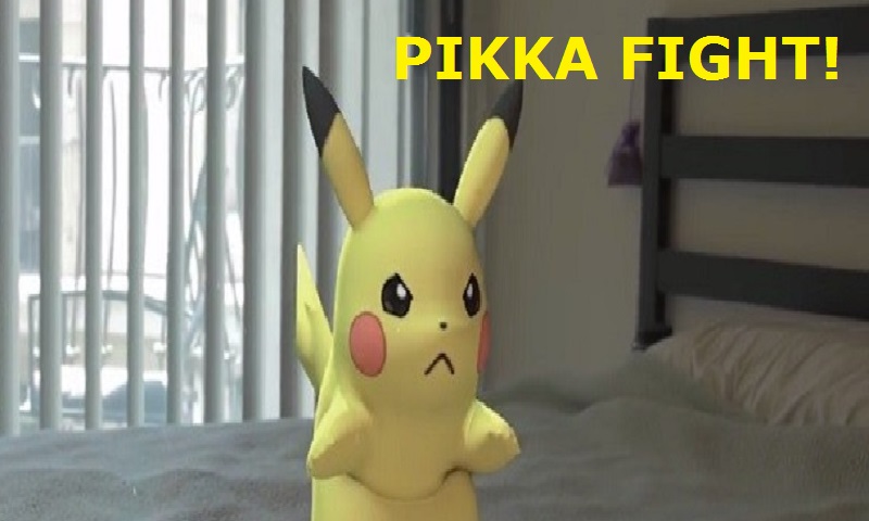 Craft With PokkeeMobs!