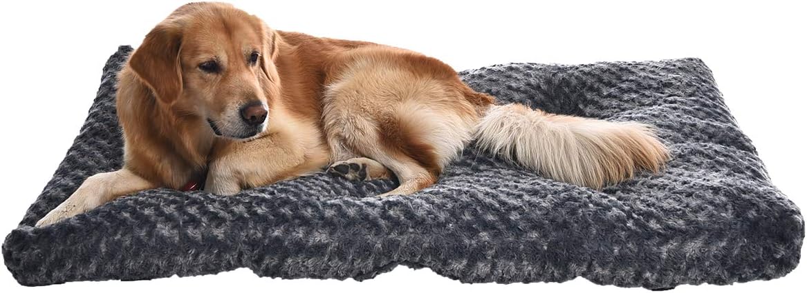 Basics Pet Dog Bed Pad, 46 x 29 x 4 Inch, Grey Swirl : Pet Supplies