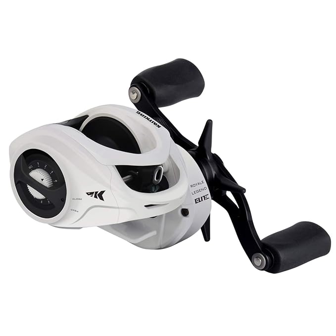 best baitcasting reel for beginners