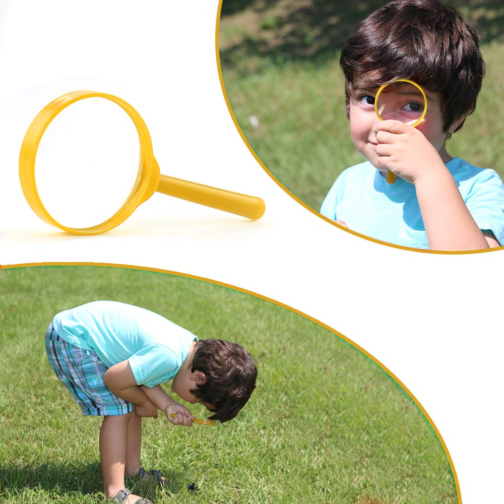 Bug Collection and Kids Explorer Kit Includes Butterfly Net Bug