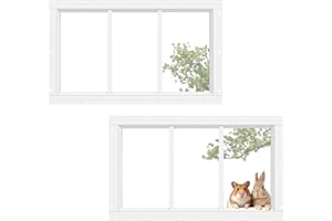 ASSTINOUS Shed Transom Windows 10''x18'' Flush Mount Tempered Glass Fixed Windows, Small House Windows for Chicken Coop, Playhouse, Garage, Barn, Outdoor Building Replacement Windows-2 Pack