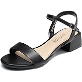 DREAM PAIRS Women's Low Heels for Women Classic Open Toe Ankle Strap Block Chunky Heel Sandals Holiday Party Wedding Dress Pumps Shoes