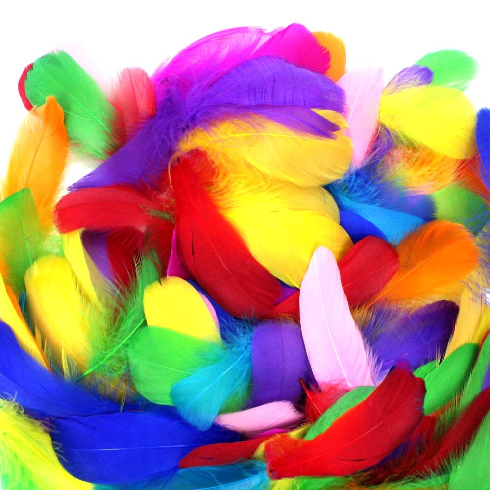 Rgargga Plumes Colorées, 250pcs Naturel Multicolore Plume Décoration pour DIY Arts Crafts, Idéal pour Costumes, Chapeaux, Décoration d\'intérieur Fete Mariage Anniversaire