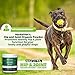 Herbal Vet Glucosamine for Dogs - Certified Organic Hip & Joint Powder Supplement for Dogs & Cats Infused with Hemp Oil Extract - Relieve Joint Pain The Easy Way - 100% All Organic Ingredients(10OZ)