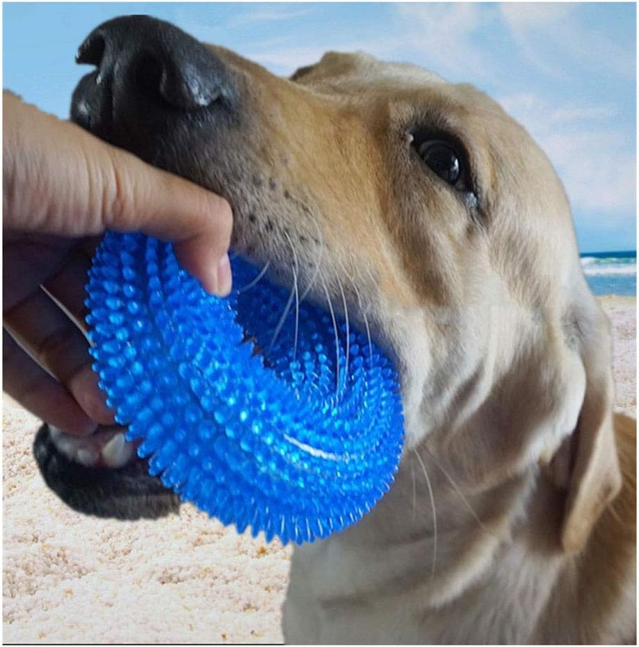 AMYPZN Squeaky Pet Chew Toy TPR Dog Molar Rings with Massage Beads Soft Bite Resistant Dumbbell for Teeth Cleaning, Playing