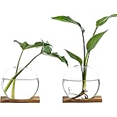 CHPINDAM Propagation Vases for Plants - Glass Terrarium Planter with Wooden Stand, Small Desktop Oblate Hydroponic Propagation Vases for Modern Home & Office Decor (2)