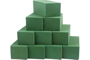 LOMIMOS 10PCS Floral Foam Bricks,Florist Blocks Supplies for Flower Arrangement DIY Craft