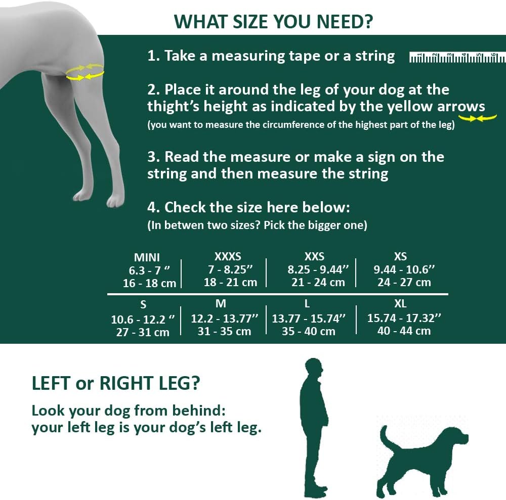Ortocanis Original Knee Immobilizer for dogs with ACL and patella