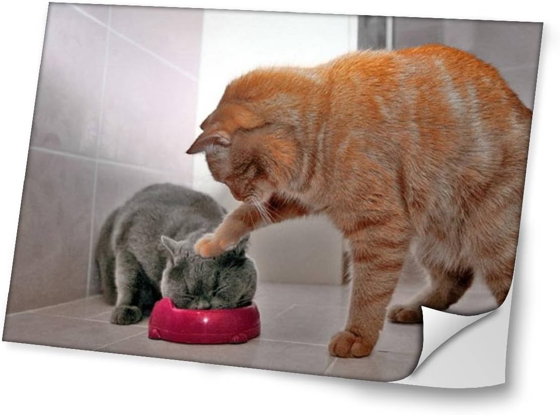 Autocollant Vinyl Adhesif Dessin Colore Et Effet De Cuir Pour Les Portable Tactile Et Ordinateurs Portables Pour Laptop 17 Chat Virano Animaux Autocollants Pour Ordinateur Portable