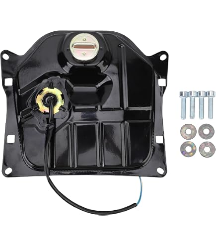 Amazon.com: Honda New OEM Fuel Tank 03-24 Ruckus 17500-GET-010