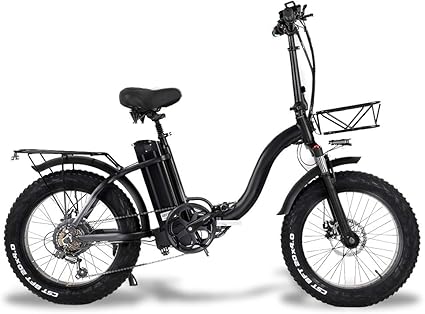 fatbike 750w