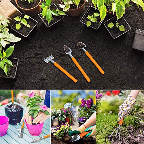 Gardening Tool Sets,13Piece Stainless Steel Garden Tool Set