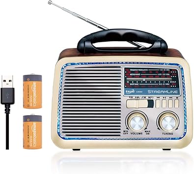radio speaker wireless fm