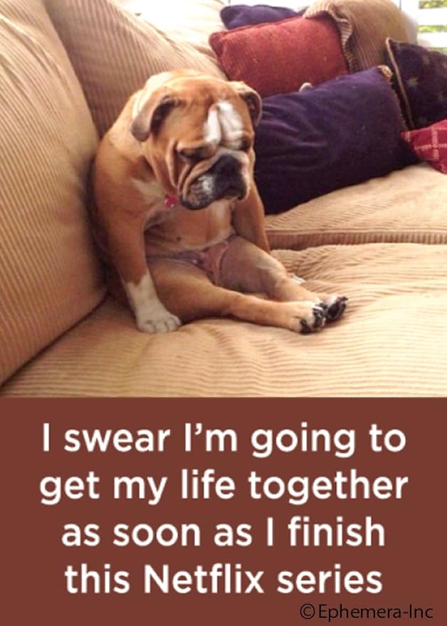 my life as a dog netflix