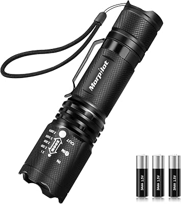 Lampe Torche 2 EN 1, Torche UV 395nm & 500LM LED Puissante, 4 Modes & Zoomable Lampe de Wood Ultraviolet, Détecteur d'Urine, 1pcs