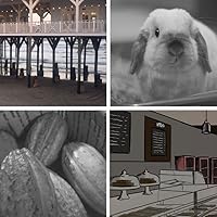 An image posted by the author.