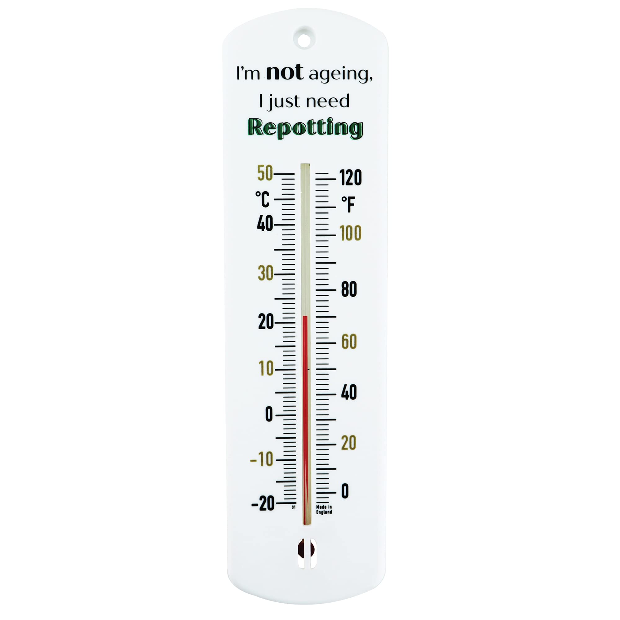 Thermometer World Greenhouse - 240 mm Classic Garden Gift for Outdoor Use in Shed Allotment Accessories Ideal Gardening Gifts (Need Repotting)