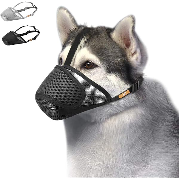 soft muzzle to stop scavenging