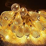 GlowGeek Mesh Ball AC 110V Fairy String Lights LED Christmas Lights , 12 ft. 20 LED 2 Modes Warm White , Raindrop Ball